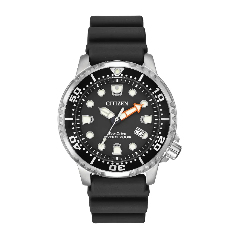 Promaster Diver