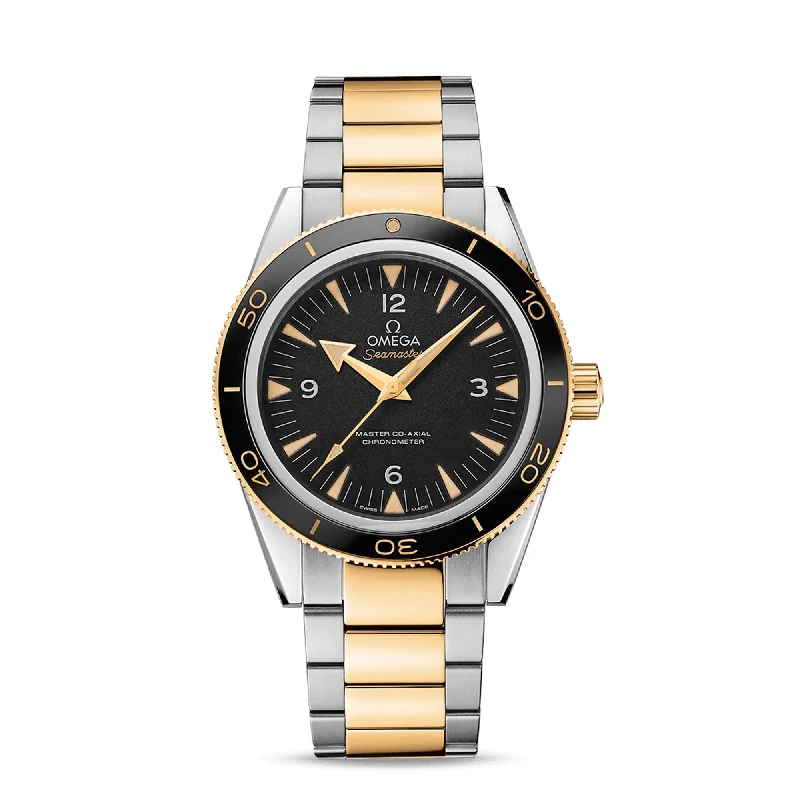 Seamaster 300 Master Co-Axial 41 MM